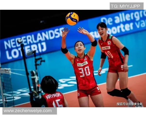 北京排球队转换体系的战术解析与实战应用探讨