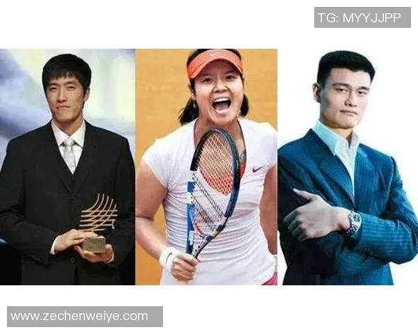 杭州网球队个人能力深度对比与战术解析