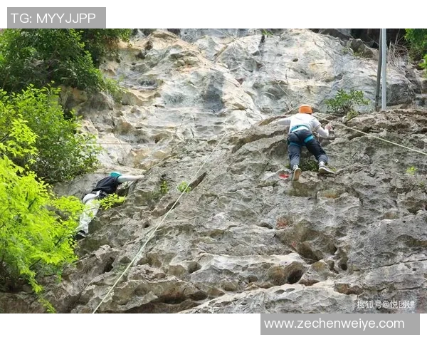 杭州攀岩队战术探讨：聚焦攀岩技术与团队协作的完美结合