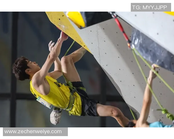 武汉攀岩队在世界攀岩锦标赛中以61分稳居积分榜首位